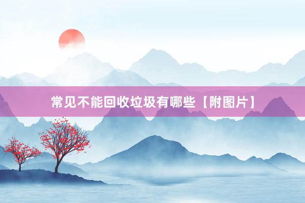 常见不能回收垃圾有哪些【附图片】