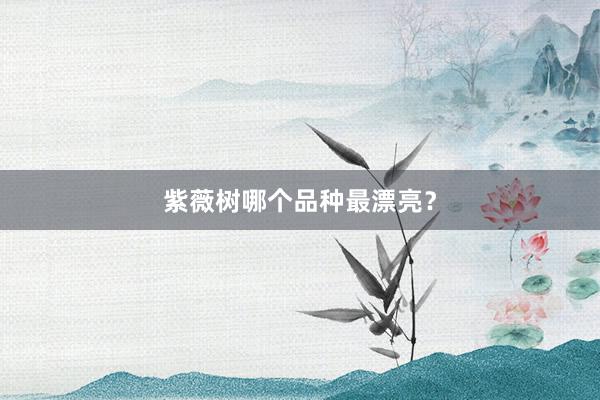 紫薇树哪个品种最漂亮？